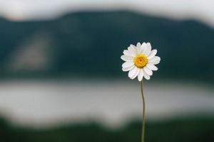 广西师范大学出版社