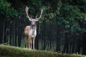 江西教育考试院缴费查询系统