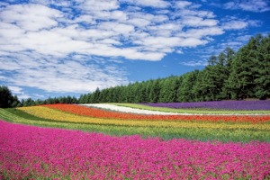 让老师瞬间记住你的教师节祝福