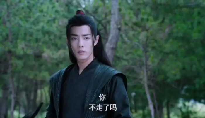 《陈情令》HE结局，魏婴：你不走了吗？蓝湛带魏婴归隐，琴箫合奏