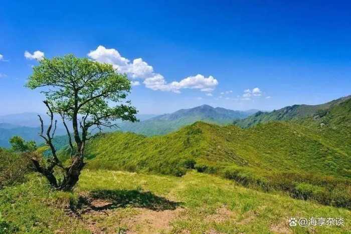 寿比南山的南山是指哪座山