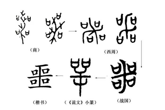 《说文解字》第190课：细说“单”字